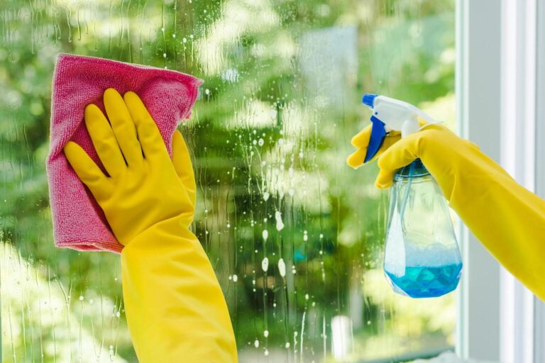 How to Keep Your Home Clean Between Professional Cleaning Visits